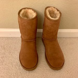 Uggs classic short ll boot
